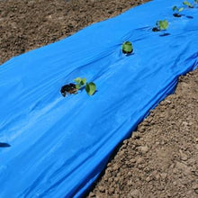 Load image into Gallery viewer, Blue Plastic Mulch 4&#39; x 600&#39;
