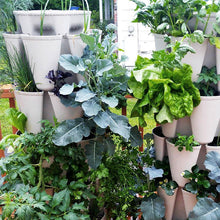 Load image into Gallery viewer, GreenStalk Vertical 4 Tier Planter
